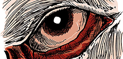 Szemhéjproblémák a brachycephal fajtáknál