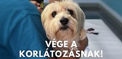Itt a kijárási korlátozás vége