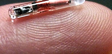 Microchip beültetési akció