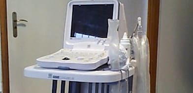 Macska és kutya ultrahang