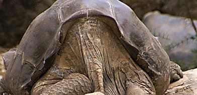 Geriátriai kivizsgálás