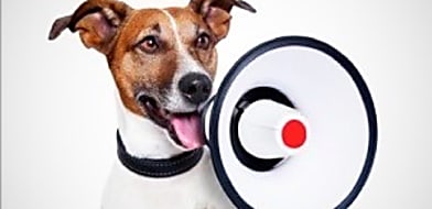 Enyhítettünk a szigorításokon rendelőnkben