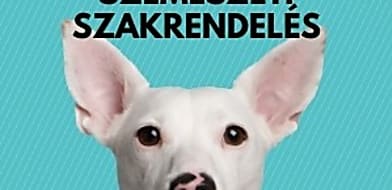 Szigorodtak a szemészeti szakrendelés feltételei