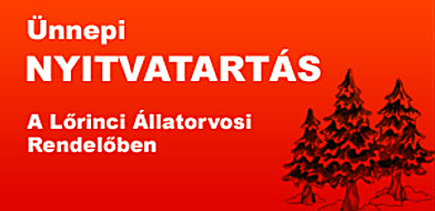 Ünnepi nyitvatartás a rendelőben 2012 decemberben
