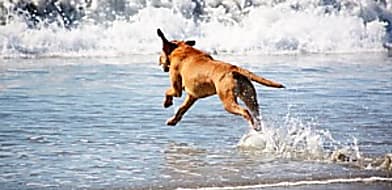 Vasárnapi zárvatartás