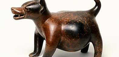 Ragályos rák miatt halhattak ki Amerika első kutyái