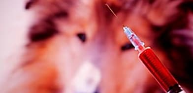 Antibiotikum rezisztencia, ne adjunk esélyt a baktériumoknak!