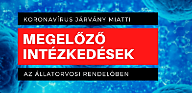 Koronavírus megelőző intézkedések az állatorvosi rendelőben