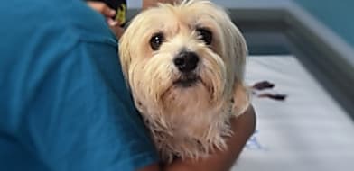 Óvintézkedések a rendelőben