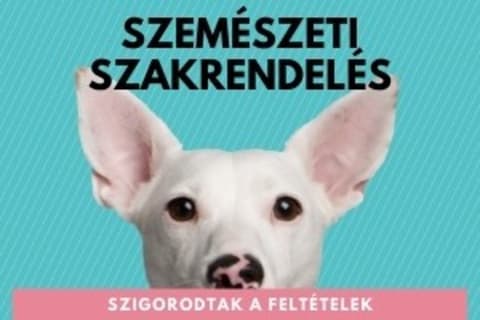 Szigorodtak a szemészeti szakrendelés feltételei