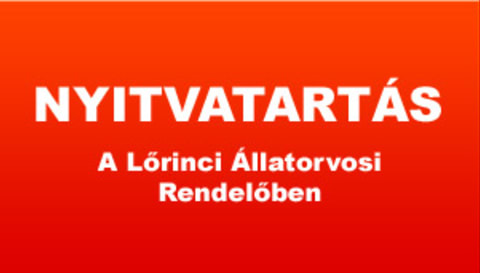 Szombati nyitvartás november 10-én