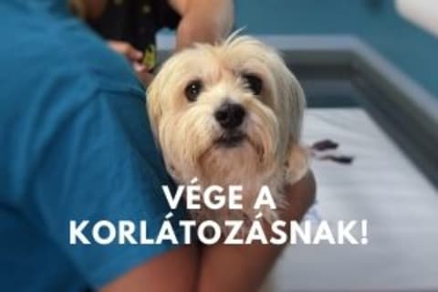 Itt a kijárási korlátozás vége