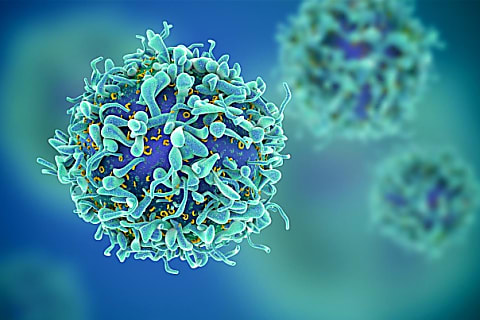 A Cadherin-22 fehérje szerepe a daganatos sejtek szóródásában