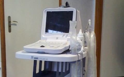 Macska és kutya ultrahang