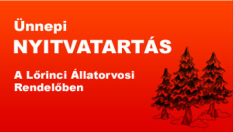 Ünnepi nyitvatartás a rendelőben 2012 decemberben