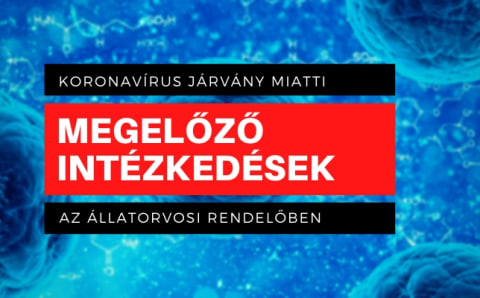 Koronavírus megelőző intézkedések az állatorvosi rendelőben