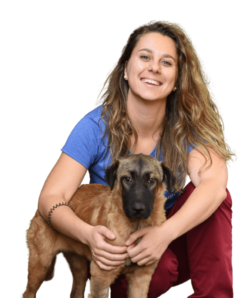 Dr. Kővári Sarolta