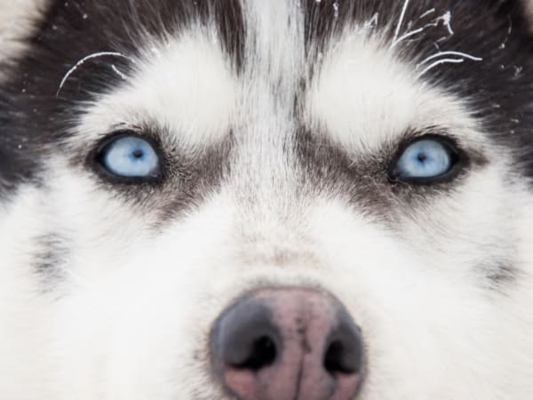 Nem gyulladásos keratopátiák