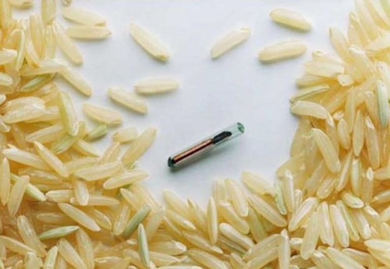 Kötelező lett a microchip
