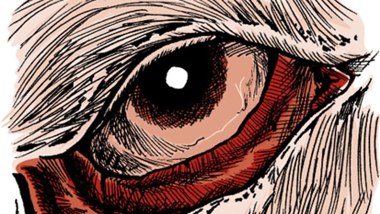 Szemhéjproblémák a brachycephal fajtáknál