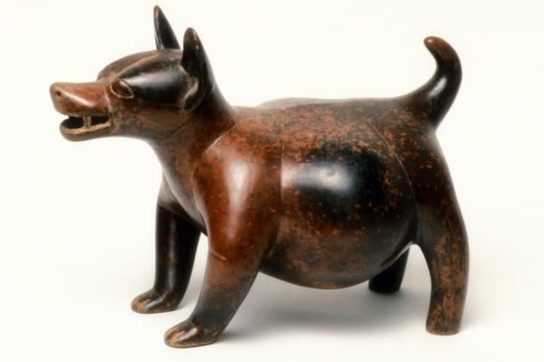 Ragályos rák miatt halhattak ki Amerika első kutyái