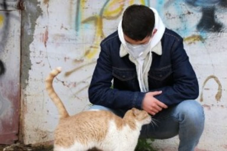 Kutyák, macskák és egyéb állatfajok a koronavírus járvány tükrében