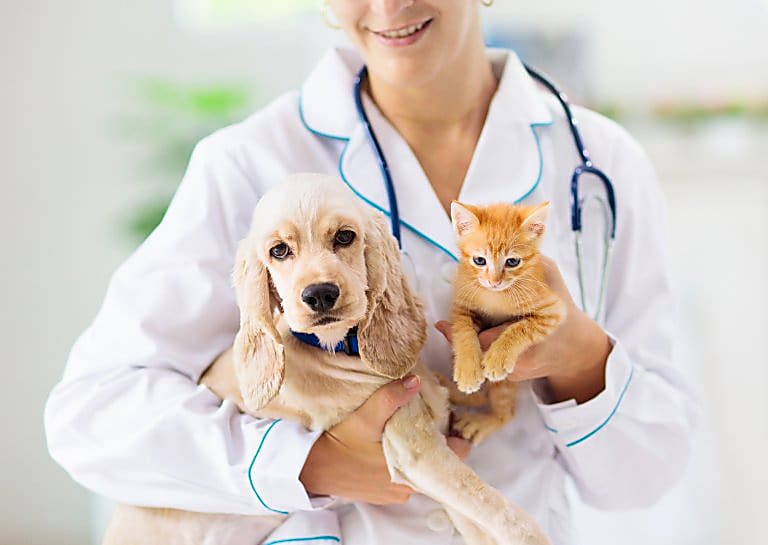 Alap szolgáltatások