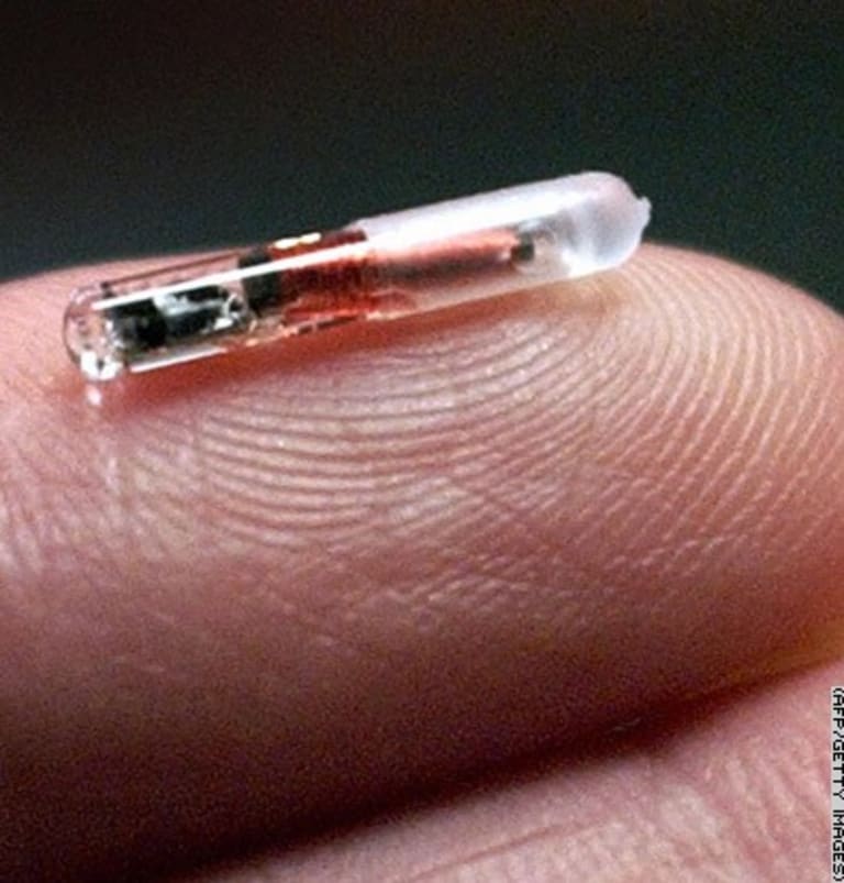 Microchip beültetési akció