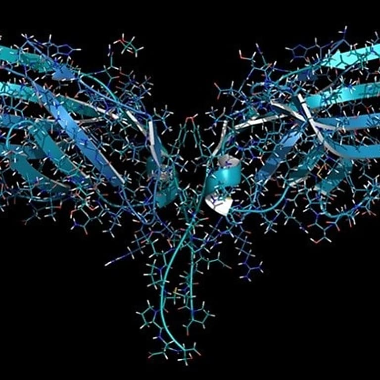 Checkpoint Charlie, avagy új immunológiai módszerek a daganatterápiában