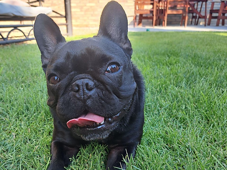 Megi és az atópiás dermatitis