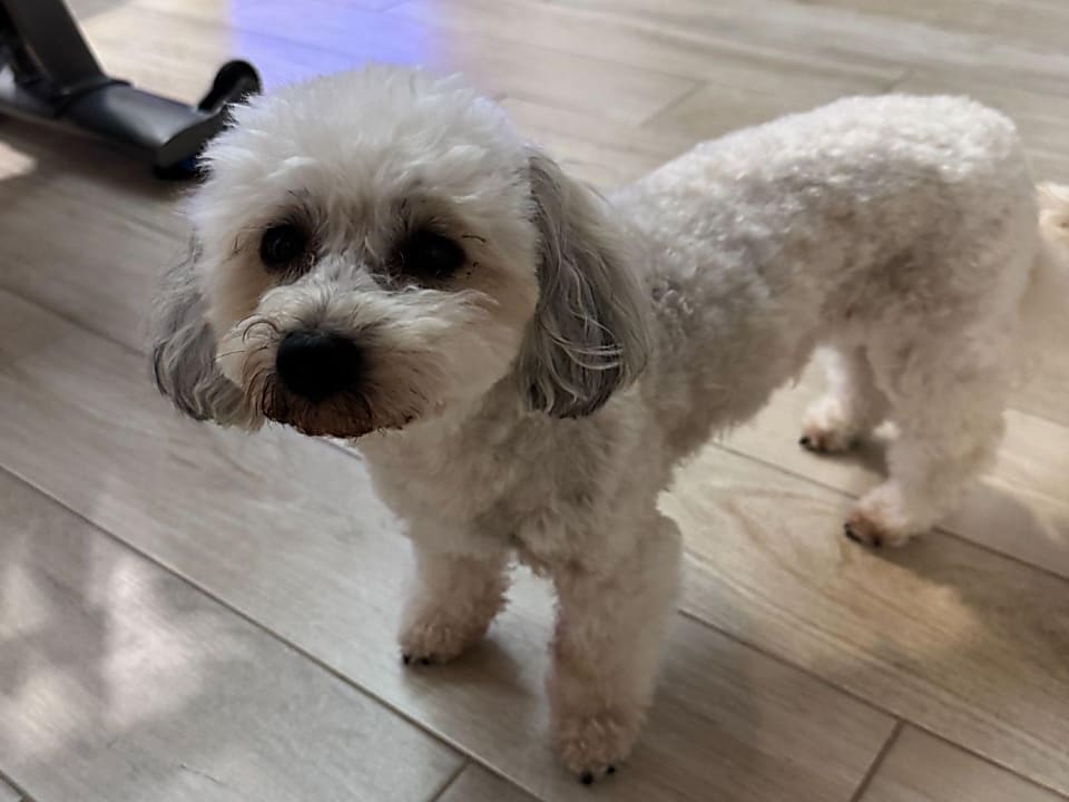 Mili különleges esete