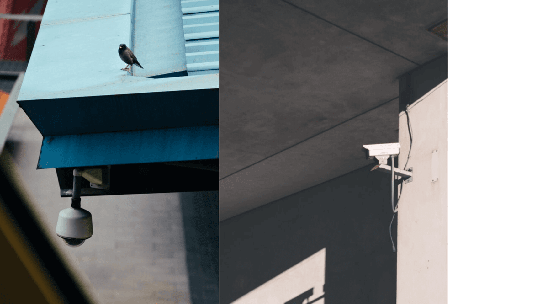 Difference between bullet and dome camera store