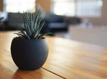 How to Detox Your Space