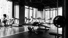 How Much Does It Cost To Open a Gym