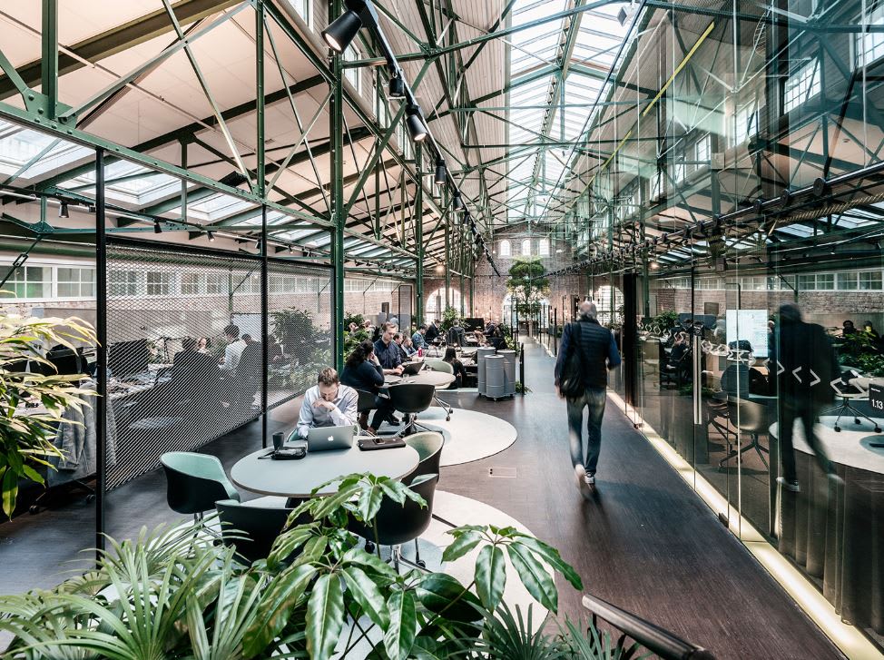 Norrsken foundation jobs