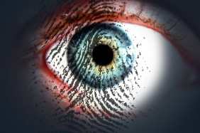 Biometric Access Control