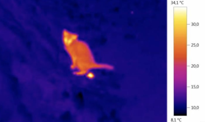 How to Use a Motion Sensor
