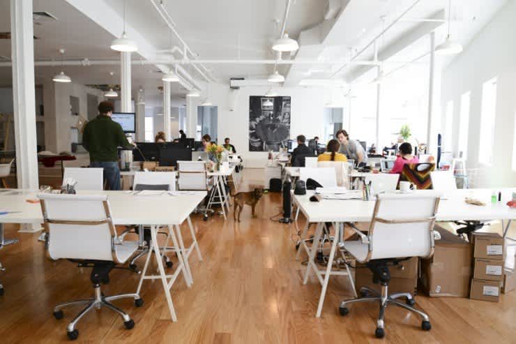 Barkbox Office New York 1