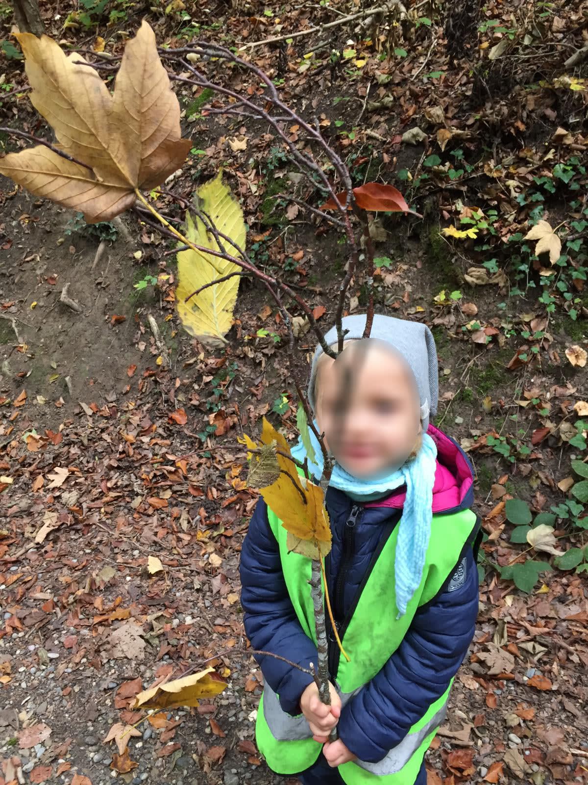 Herbstbaum gestalten