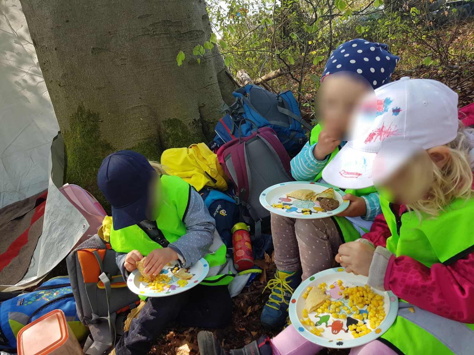 Mittagessen im Wald