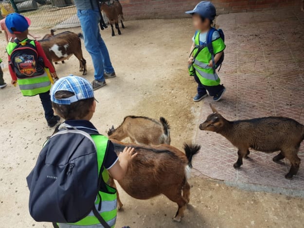 Knies Kinderzoo Rapperswil