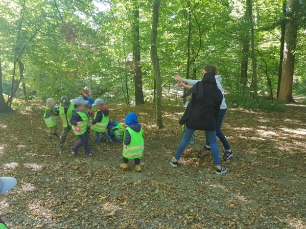 Laubspass im Wald