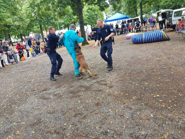 Die Stadtpolizei ganz nah