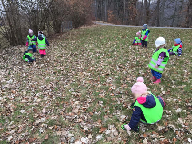 Die blinde Raupe im Wald