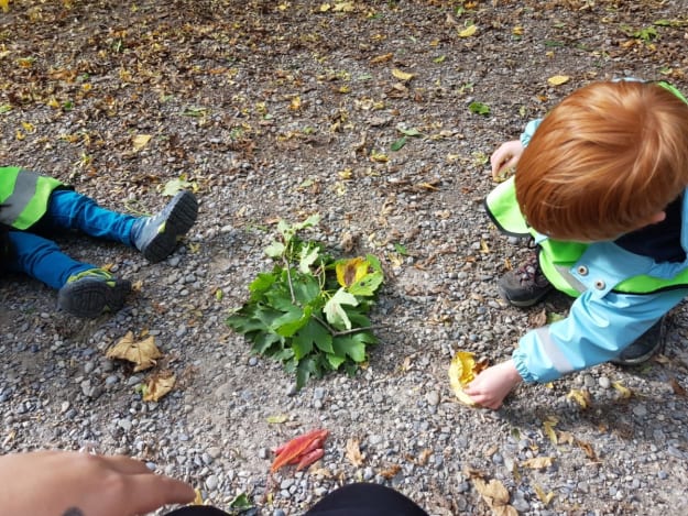 Herbstblätter sammeln