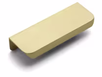 rear fixed satin brass handle 