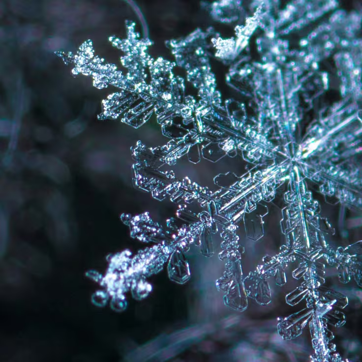 Frozen bedroom banner