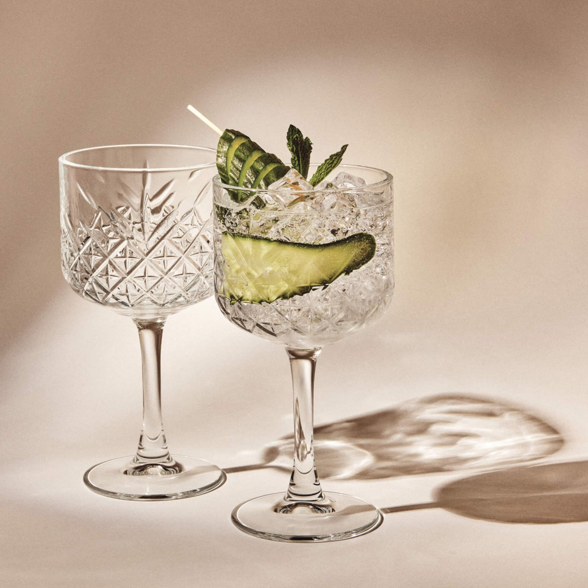 Winston Martini Glasses 230mL - Set of 4 – salt&pepper