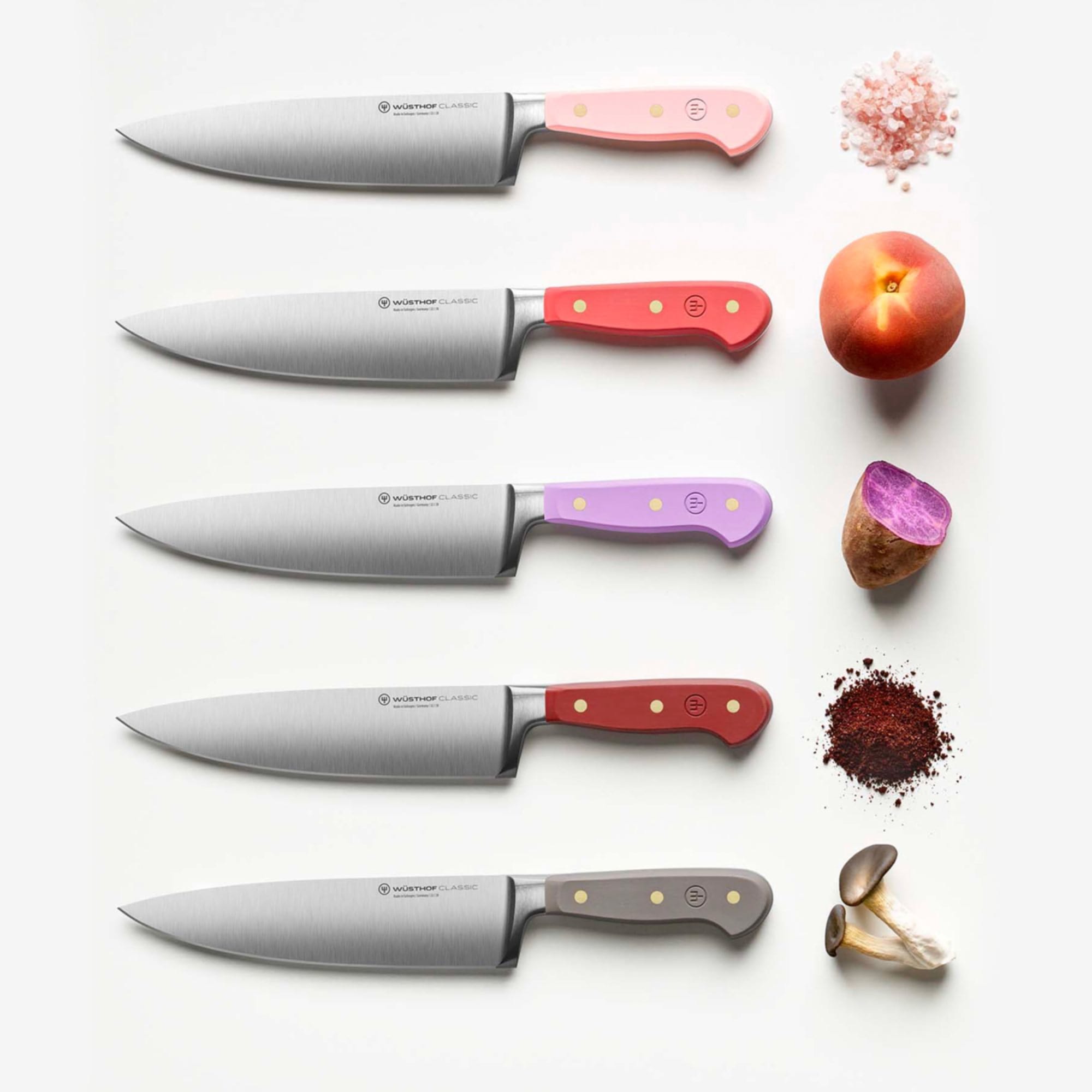 Tasty Stainless Steel 4 Piece Knife set with Shears Kitchen Knives