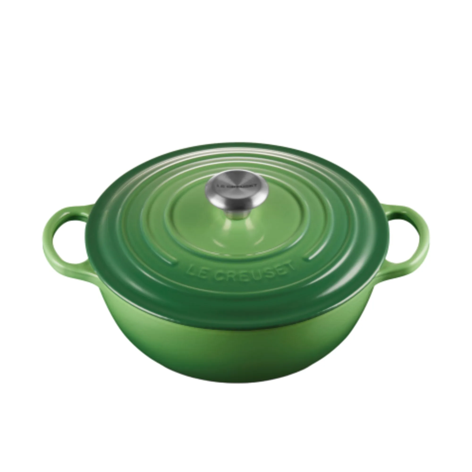 Le Creuset Signature Cast Iron Marmite 26cm - 4.1L Bamboo Green Image 1